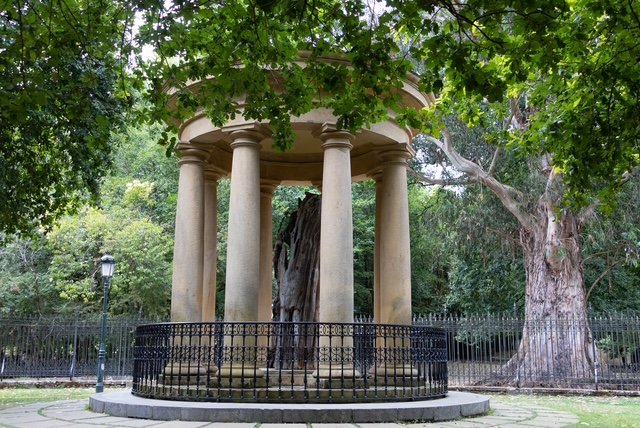 Gernika arbol historia